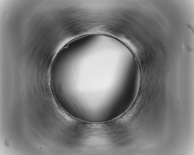 X0000099440862200805091311