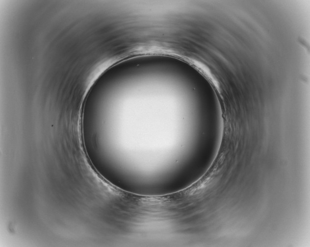 X0000099440863200805091311
