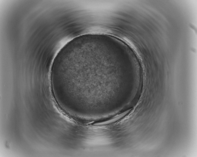 X0000099440864200805091311