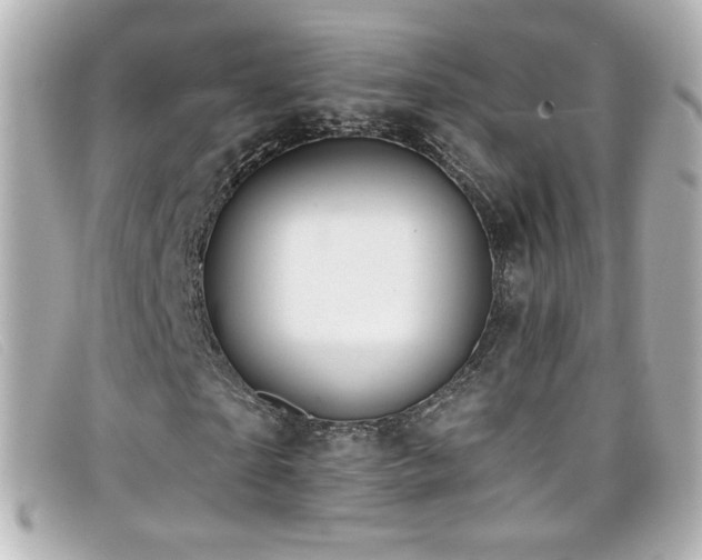 X0000099440865200805091310