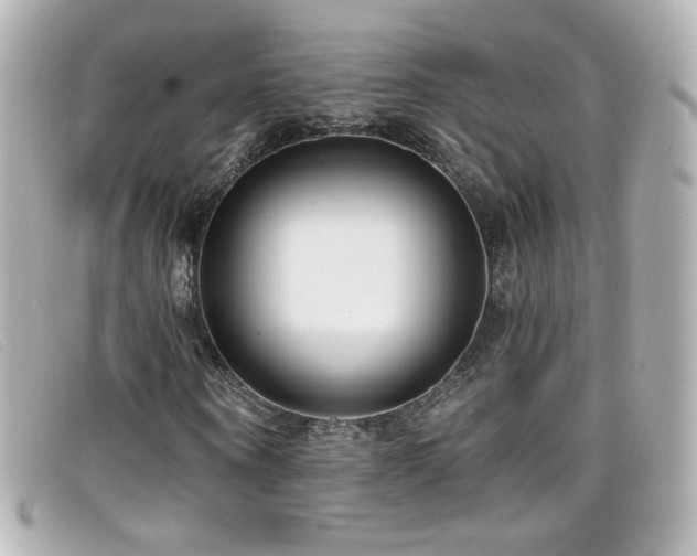 X0000099440866200805091310
