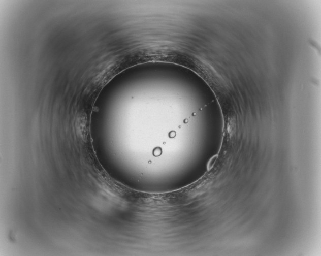 X0000099440867200805091310