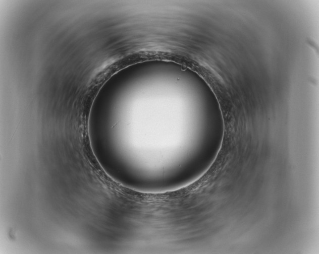 X0000099440870200805091310