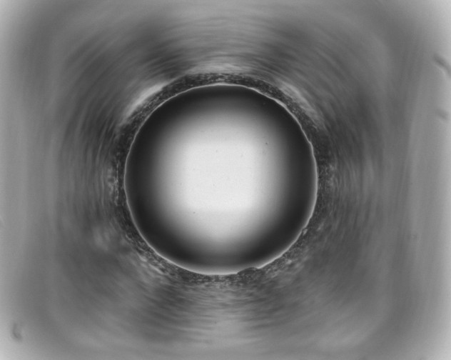 X0000099440872200805091310