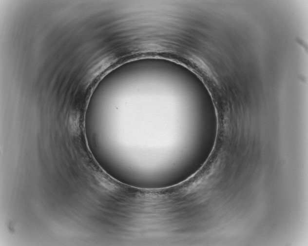 X0000099440873200805091310