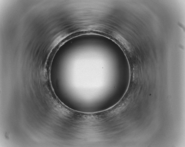 X0000099440876200805091310