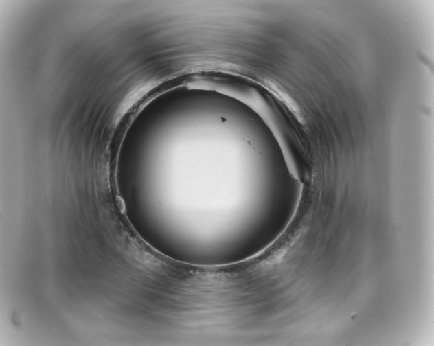 X0000099440877200805091310