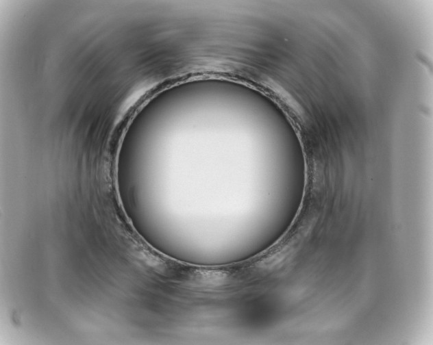 X0000099440878200805091310
