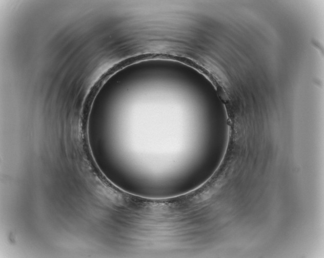 X0000099440880200805091310