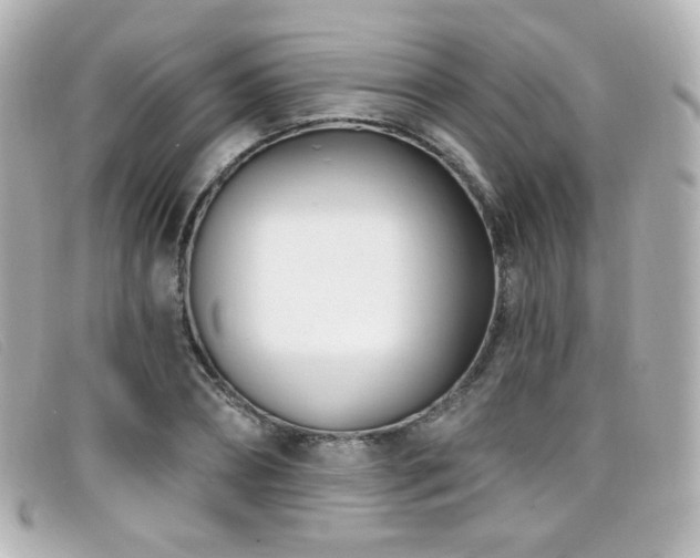 X0000099440882200805091310