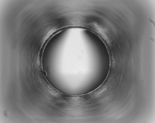 X0000099440883200805091310
