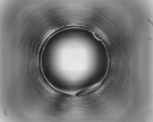 X0000099440884200805091310