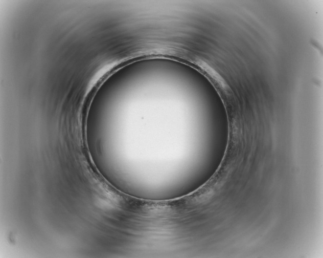 X0000099440886200805091310