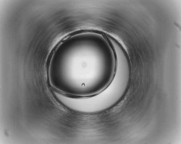 X0000099440887200805091310