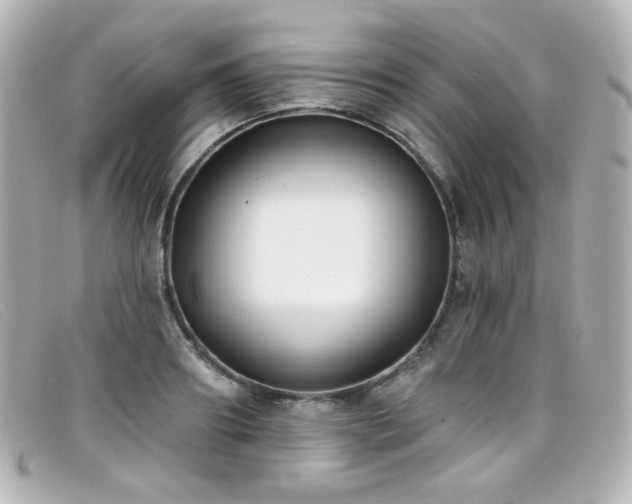 X0000099440890200805091310