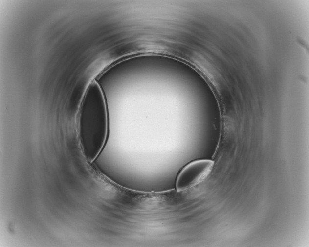 X0000099440891200805091310
