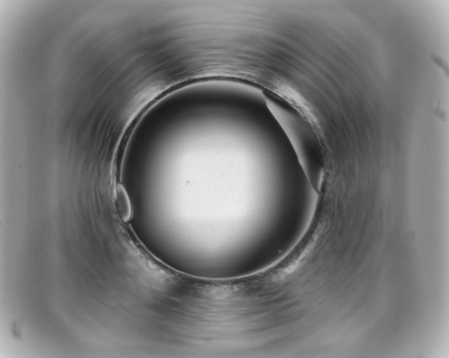 X0000099440892200805091310