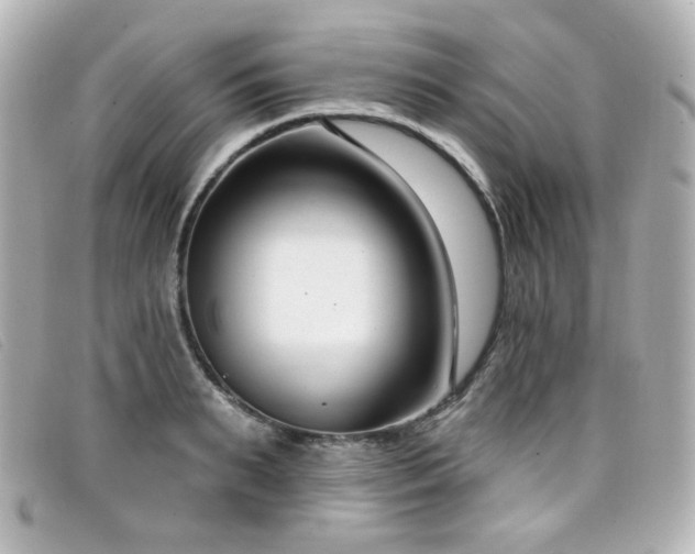 X0000099440895200805091310