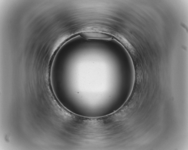 X0000099440896200805091310