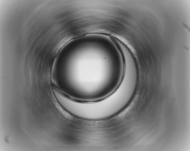 X0000099440897200805091310