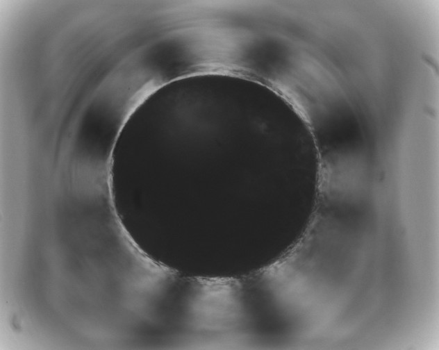 X0000099440899200805091310