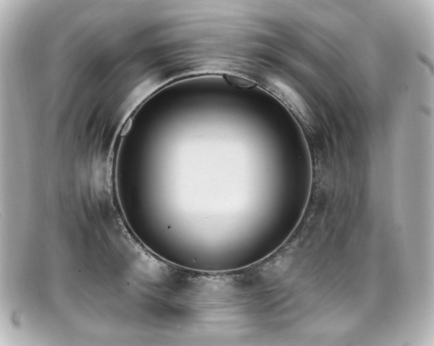 X0000099440900200805091310