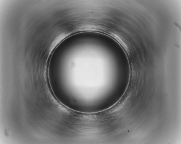 X0000099440901200805091310