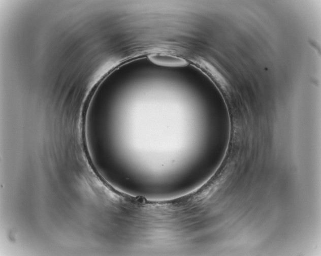X0000099440902200805091310