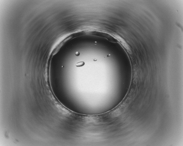X0000099440904200805091310