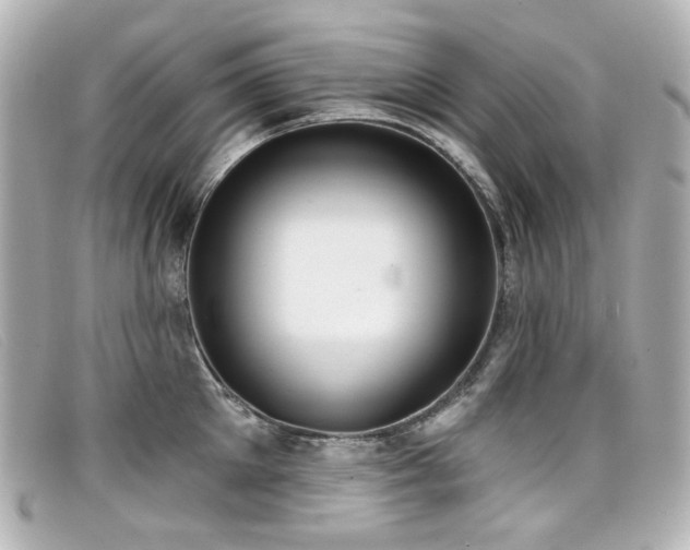 X0000099440905200805091309