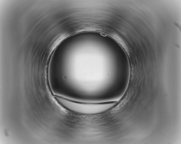 X0000099440906200805091309
