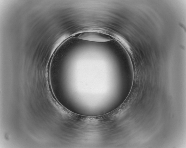 X0000099440907200805091309