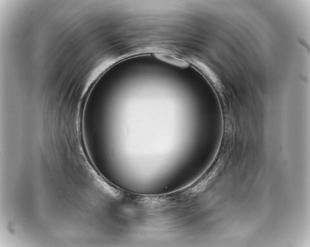 X0000099440910200805091309