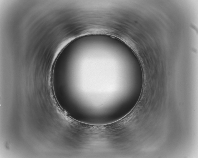 X0000099440912200805091309