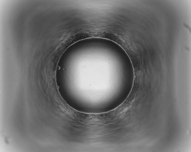 X0000099440913200805091309