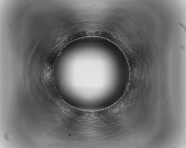 X0000099440914200805091309