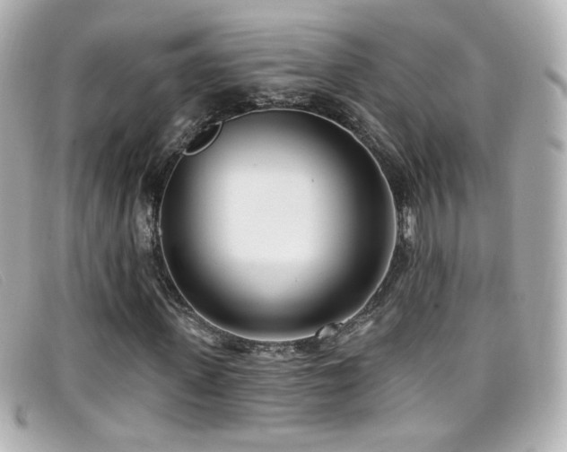 X0000099440915200805091309