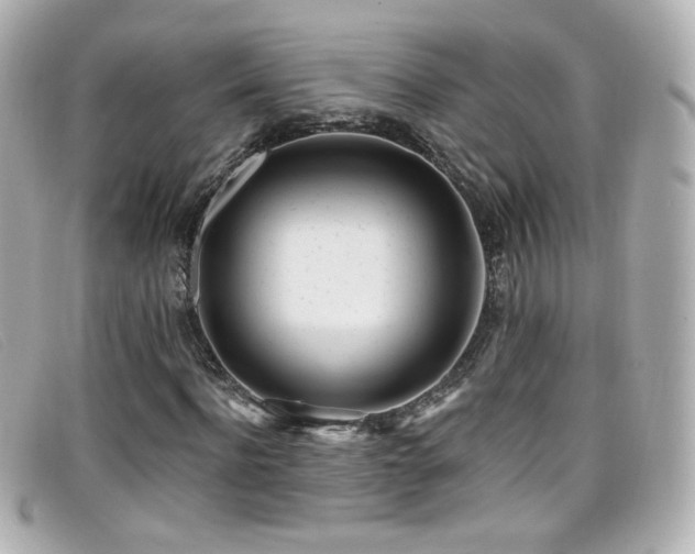 X0000099440916200805091309