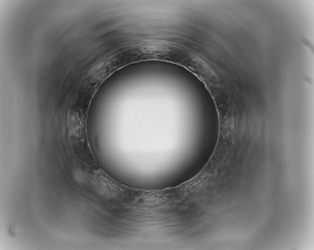 X0000099440917200805091309