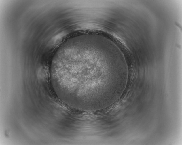 X0000099440918200805091309
