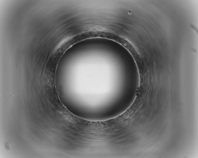 X0000099440919200805091309