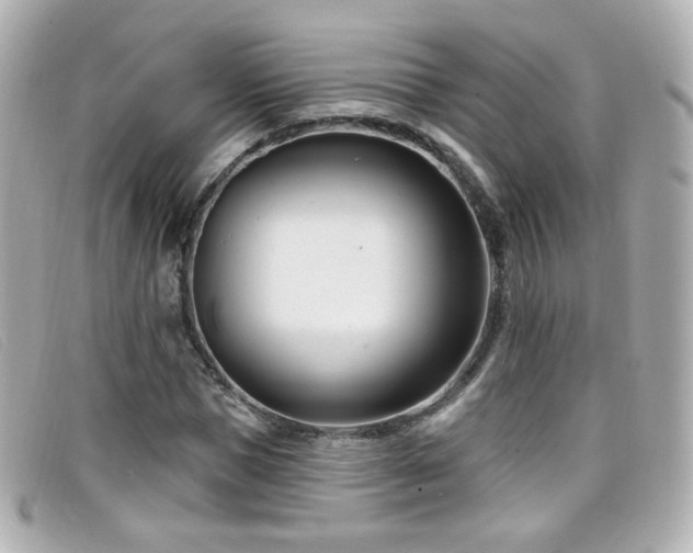 X0000099440921200805091309