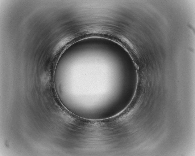 X0000099440922200805091309