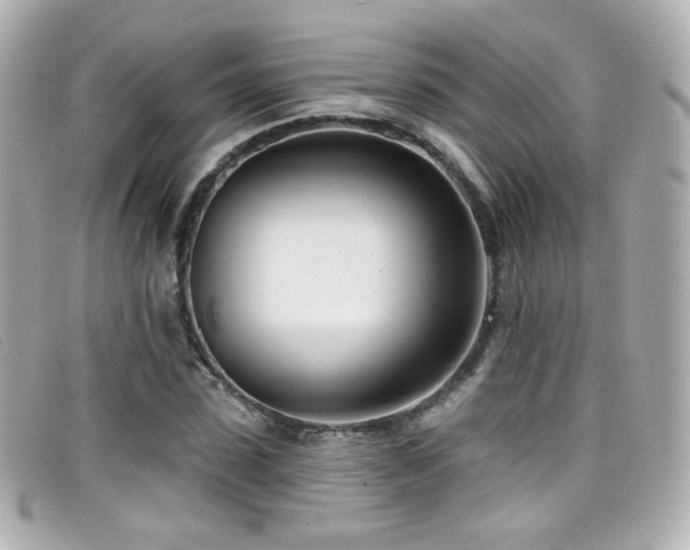 X0000099440923200805091309