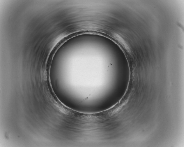 X0000099440924200805091309