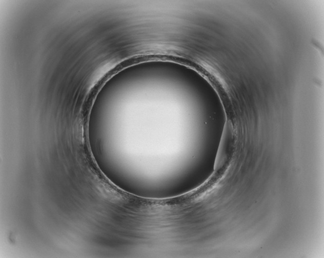 X0000099440925200805091309