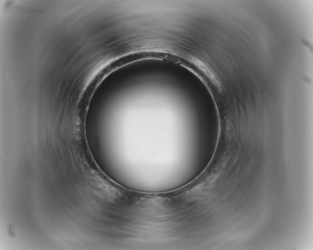 X0000099440926200805091309