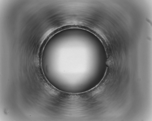 X0000099440927200805091309