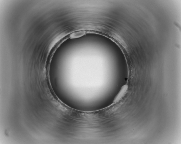 X0000099440928200805091309