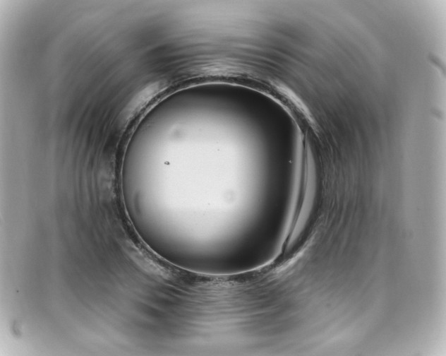 X0000099440930200805091309